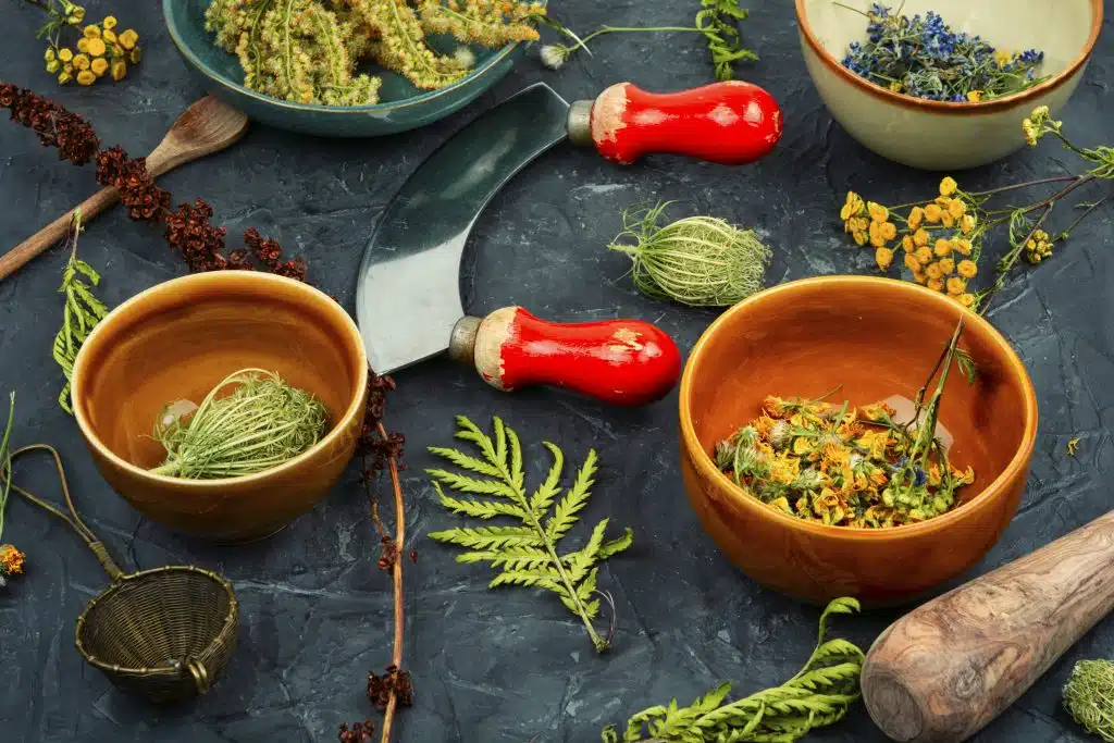 Herbs & Botanicals